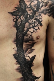 胸部和腹部黑色孤独树与乌鸦纹身图案