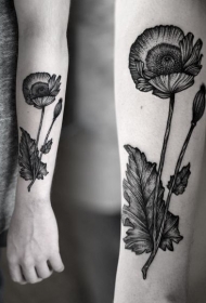 黑色罂粟小臂纹身图案