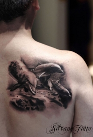 背部逼真的小海豚黑白纹身图案
