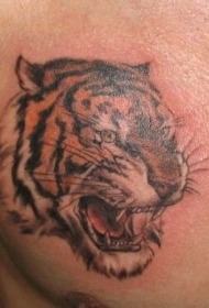 胸部写实老虎头纹身图案
