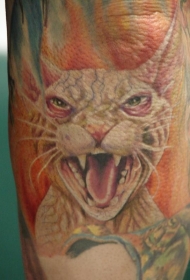 可怕的彩色邪恶猫纹身图案