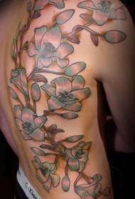 男子背部树枝与花朵纹身图案