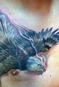 胸部彩绘飞行的老鹰纹身图案
