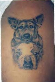牧羊犬和斗牛犬头像纹身图案