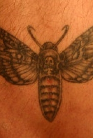 飞蛾骷髅纹身图案