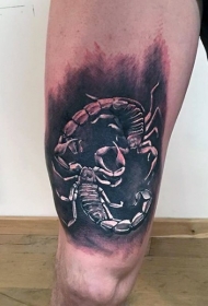 大腿漂亮的黑白蝎子纹身图案