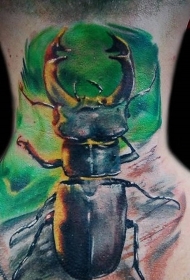 颈部天然彩色昆虫纹身图案