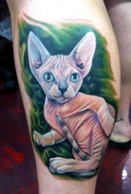 好看的斯芬克斯猫小腿纹身图案