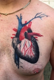 胸部逼真的彩色人体心脏纹身图案