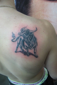 背部写实的公牛纹身图案