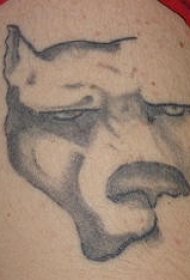 白色斗牛梗犬头像纹身图案