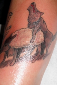 腿部保鲁夫狼和绵羊纹身图案