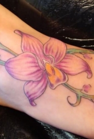 女性脚背彩色兰花纹身图案