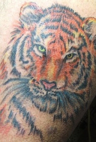 腿部彩色逼真的老虎头纹身图片