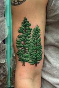 手臂彩色明亮松树纹身图案