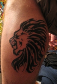 腿部黑色部落的鬃毛的狮子头纹身