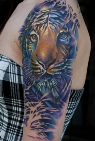 大臂写实风格的老虎彩色纹身图案