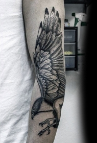 手臂壮观的鹰纹身图案