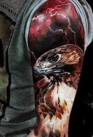 写实风格彩色鹰与闪电纹身图案