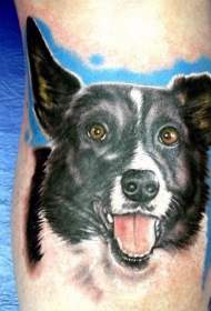 写实彩色可爱的狗肖像纹身图案