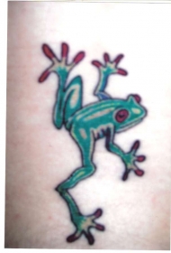 腿部彩色逼真的毒蛙纹身图案