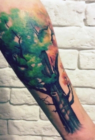 手臂逼真的彩色大树纹身图案