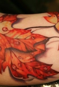 手臂彩色写实的枫叶纹身图案