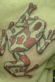 男性腿部彩色青蛙纹身图案