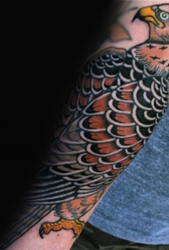 难以置信的彩色鹰手臂纹身图案