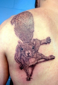 背部酷炫的松鼠纹身图案