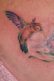腰部水彩色飞溅的蜂鸟和花纹身