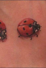 三个可爱的瓢虫纹身图案