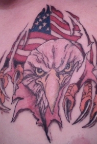 美国国旗鹰爪和鹰头纹身图案