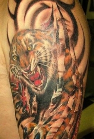 大臂令人惊叹的老虎纹身图案