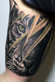 大臂很酷的老虎在丛林中纹身图案