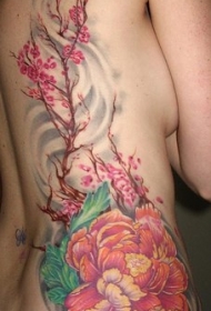 女性腰部彩色大花和樱花树纹身图片