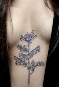 女生胸部一朵菊花线条纹身图案