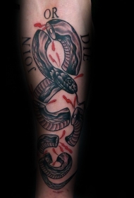 手臂新风格的彩色撕裂血腥蛇纹身图案