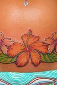 女性腰部彩色木槿花纹身图片