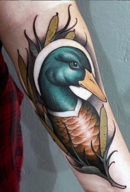 手臂现代传统彩色鸭子纹身图案