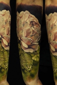 手臂写实风格的彩色白玫瑰纹身图案