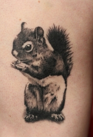 可爱的小墨松鼠纹身图案