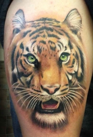 腿部彩色逼真的老虎头纹身图案