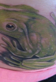 腹部彩色逼真的蟾蜍纹身图案