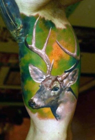 大臂写实的彩色鹿头纹身图案