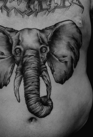 腹部写实风格大象头像纹身图案