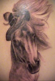 腹部棕色逼真的马头纹身图案
