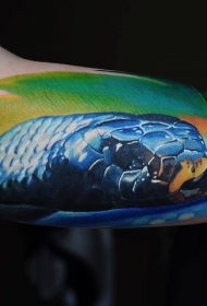 大臂现实主义风格的彩色蛇头纹身图案