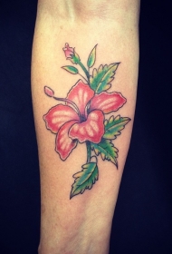 女性手臂彩色的木槿花纹身图案
