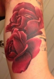 手臂彩色两个娇嫩的红玫瑰纹身图案